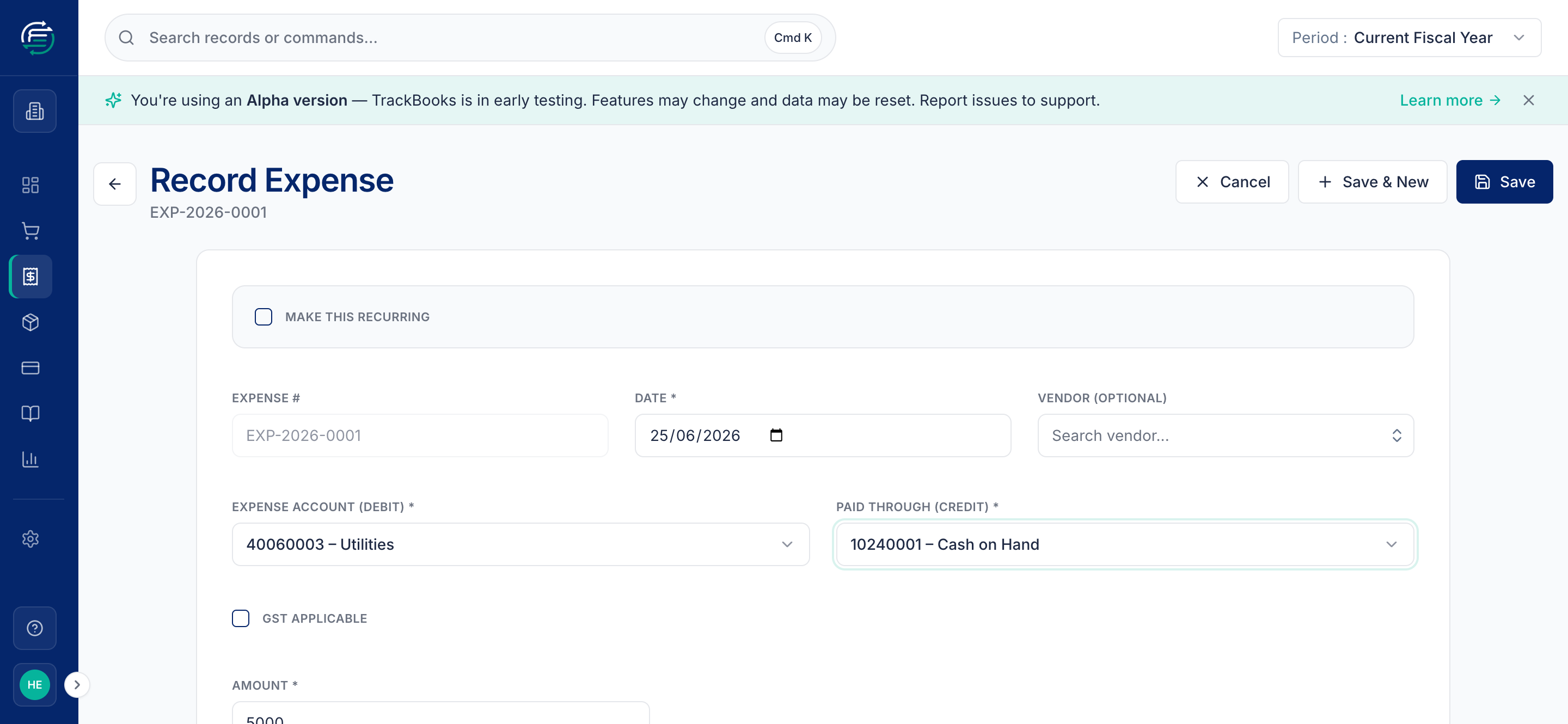 The Record Expense form with its journal preview
